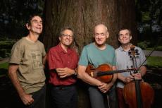 Photo des membres du quatuor qui posent devant un arbre avec leur instruments.