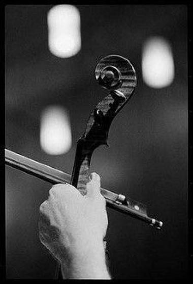 Photo noir et blanc d'une main qui tient un instrument et un archer